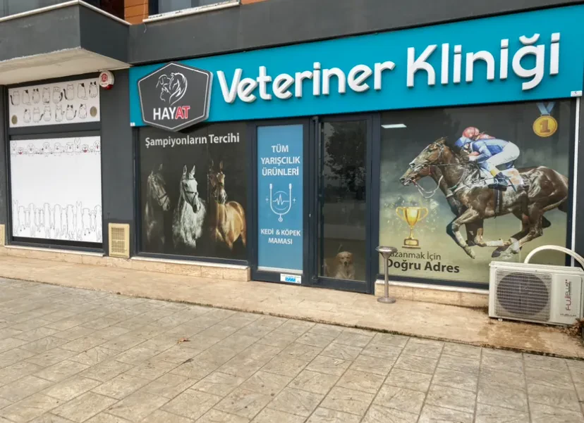 HAYAT VETERİNER KLİNİĞİ