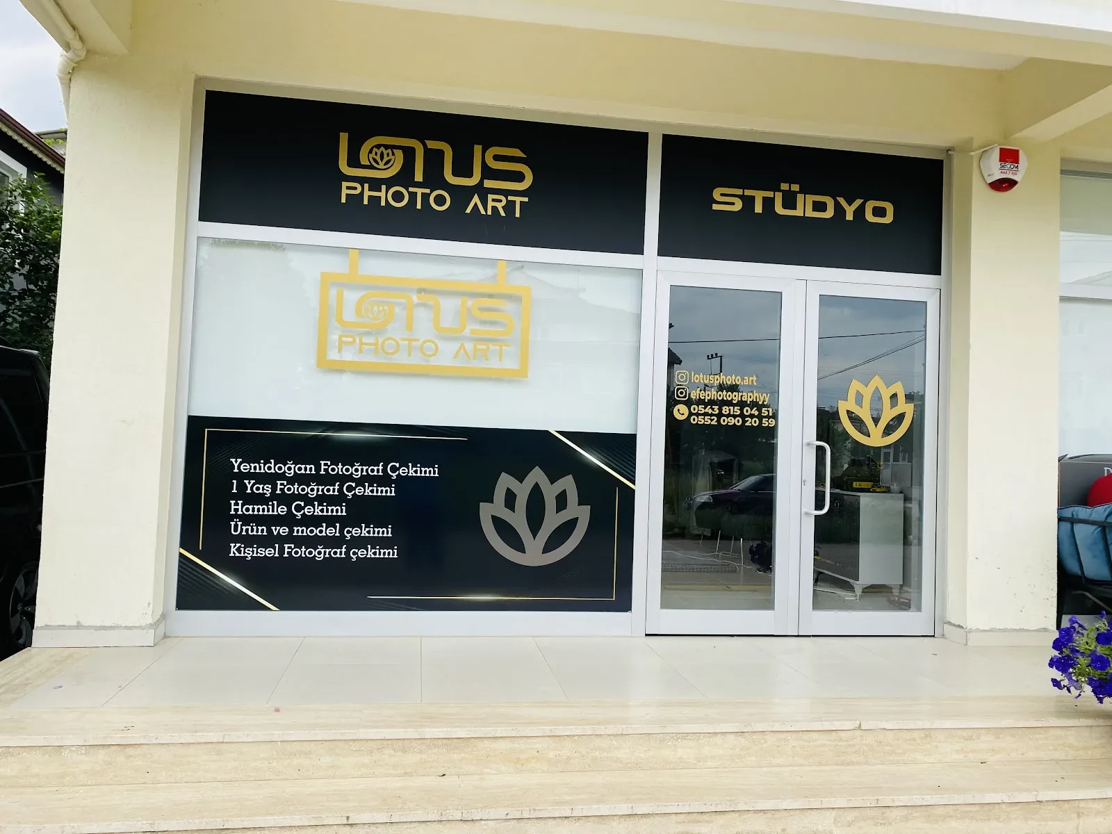 Lotus Photo Art