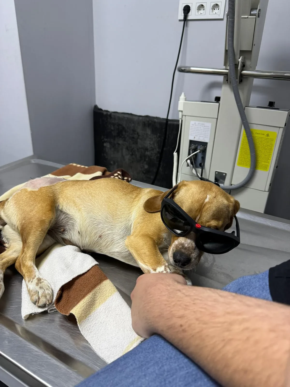 Öyküm Veteriner Kliniği fotoğraf 3