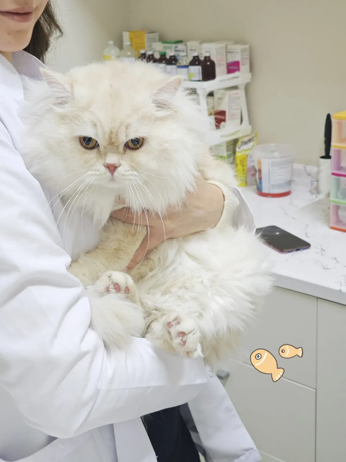 Vespera Veteriner Kliniği