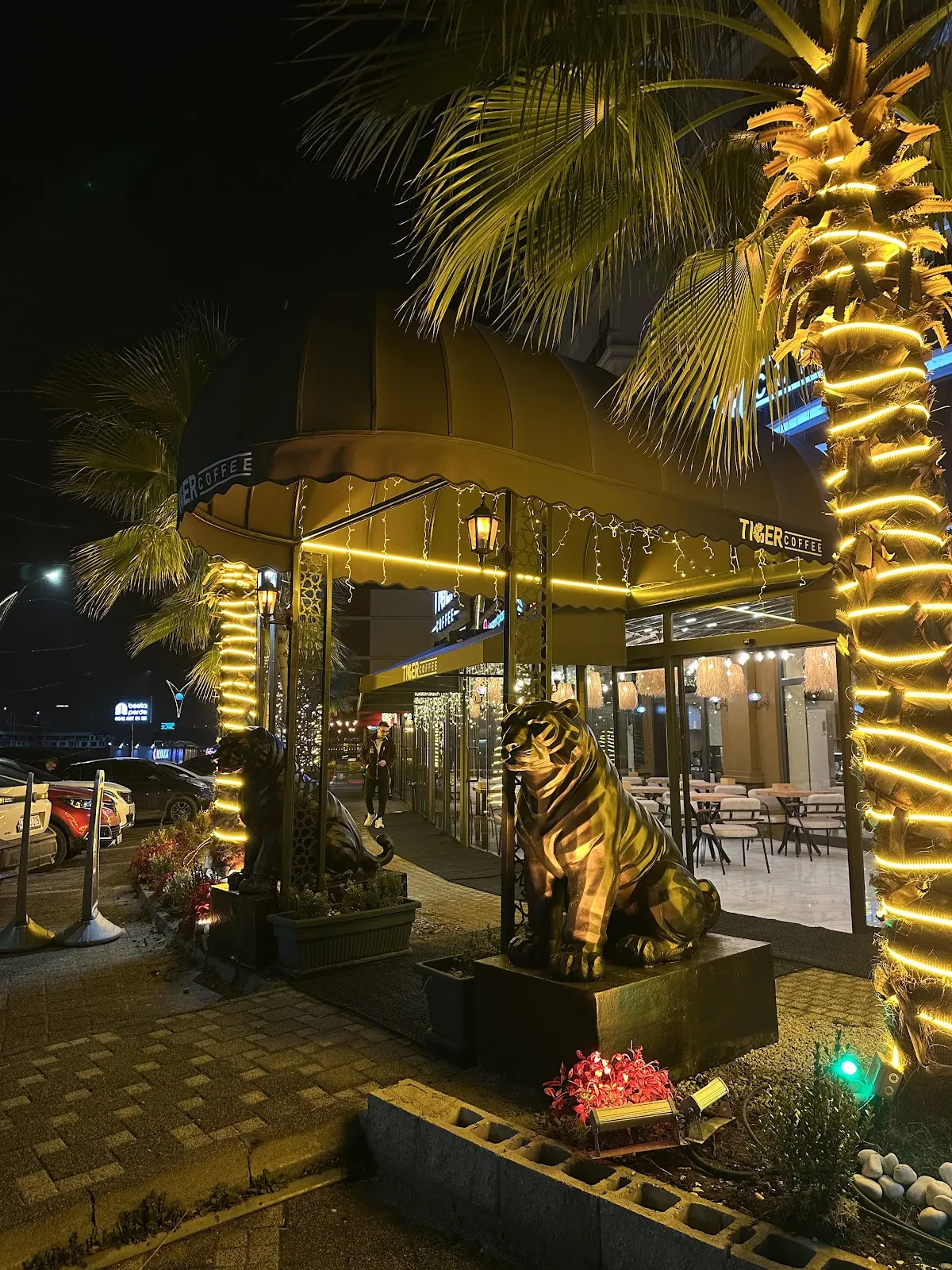 Tiger Coffee Co fotoğraf 3