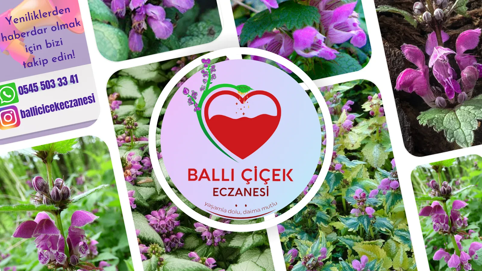 Balli Çiçek Eczanesi