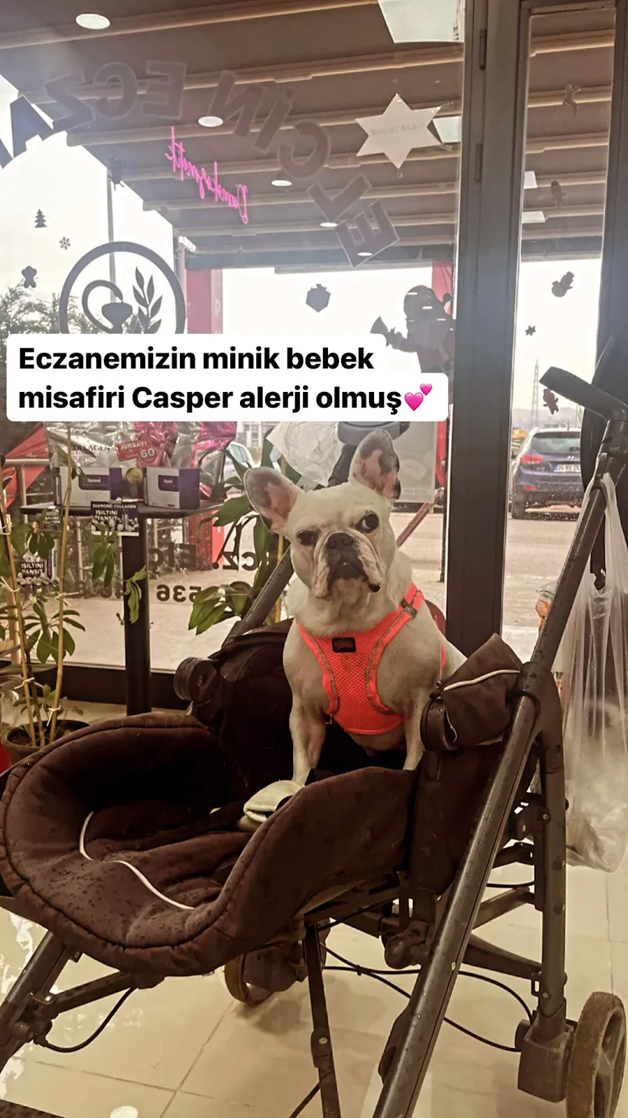 Elçin Eczanesi