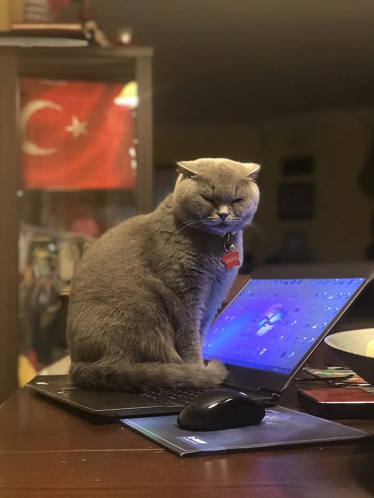 Suâdiye Eczanesi fotoğraf 2