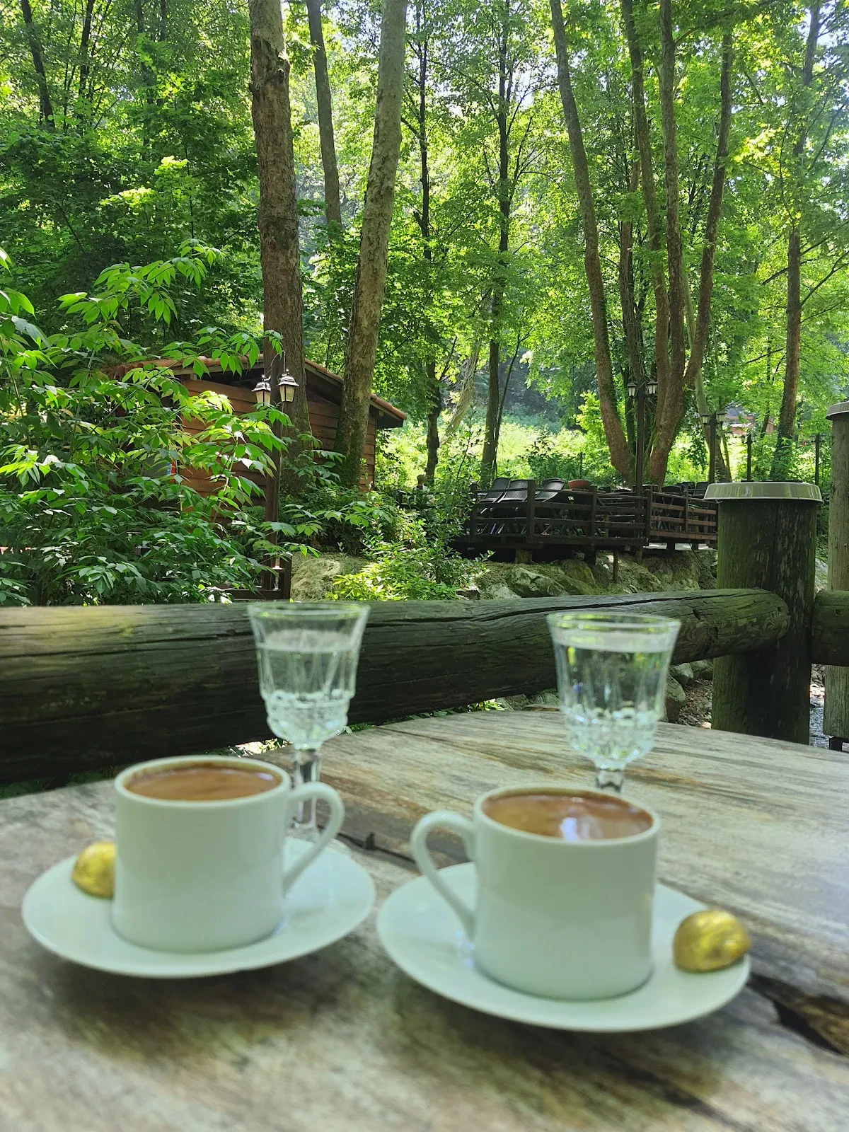 Saklibahce Selaleli Restaurant fotoğraf 4
