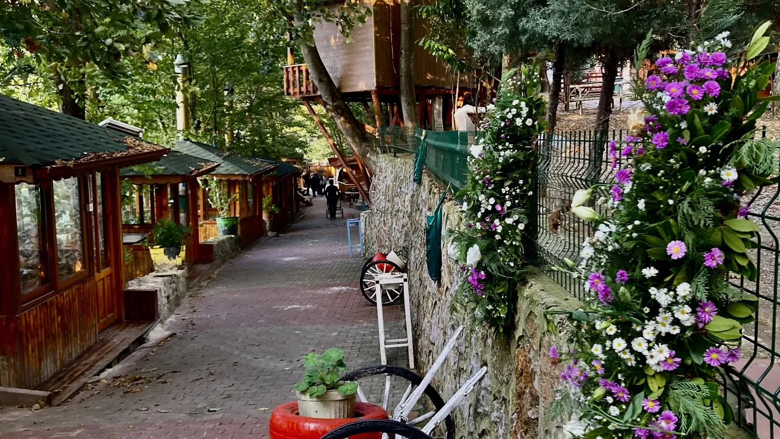 Hisarönü GÖLet Mangalbaşı fotoğraf 3