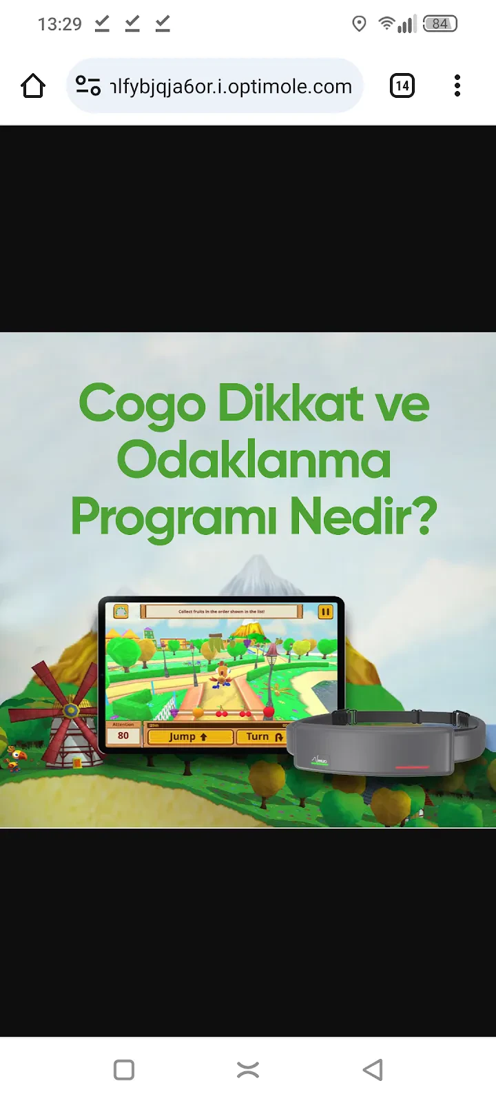 Focus Psikolojik Gelişim Merkezi