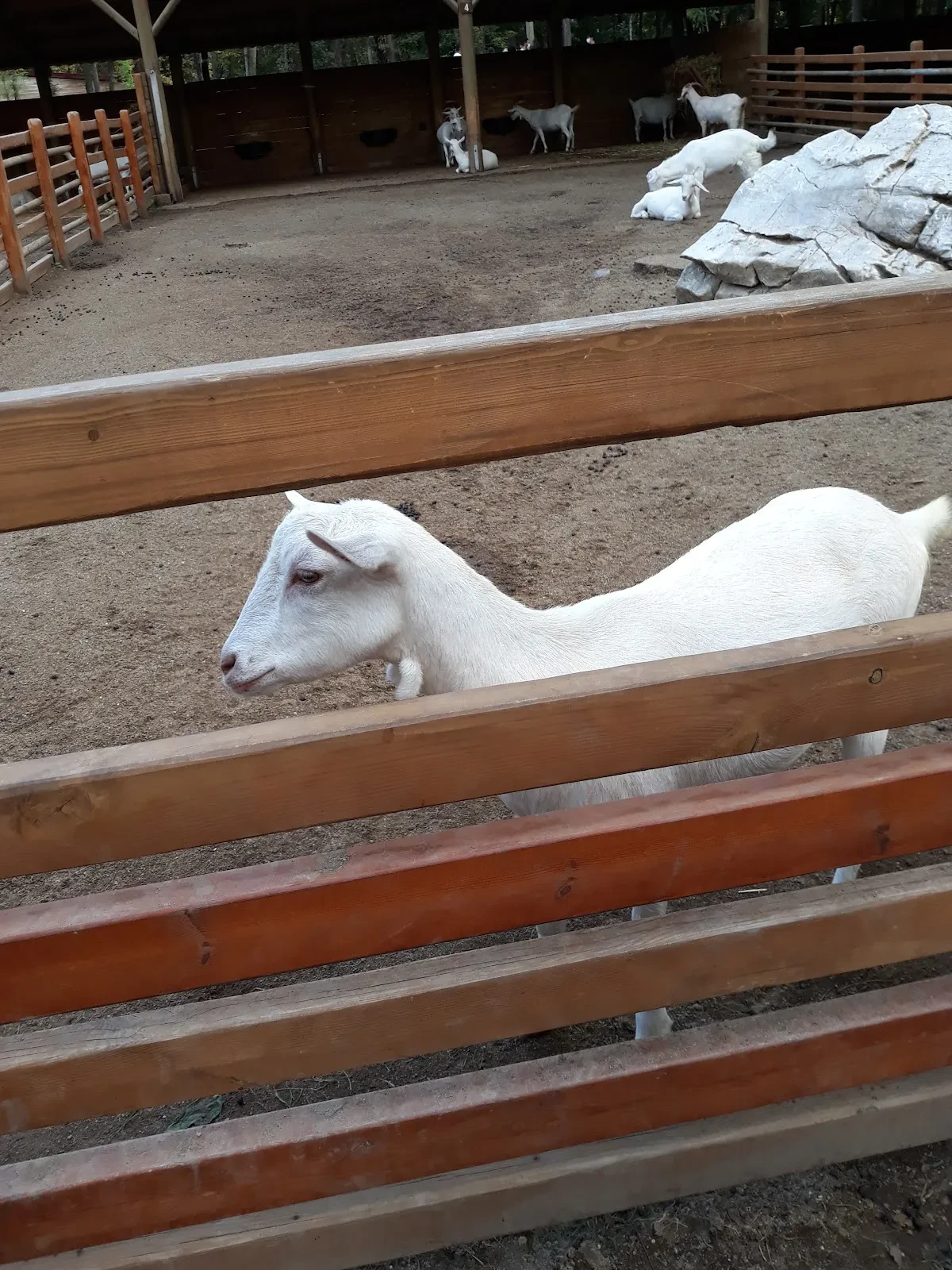 Öztürk Market fotoğraf 3