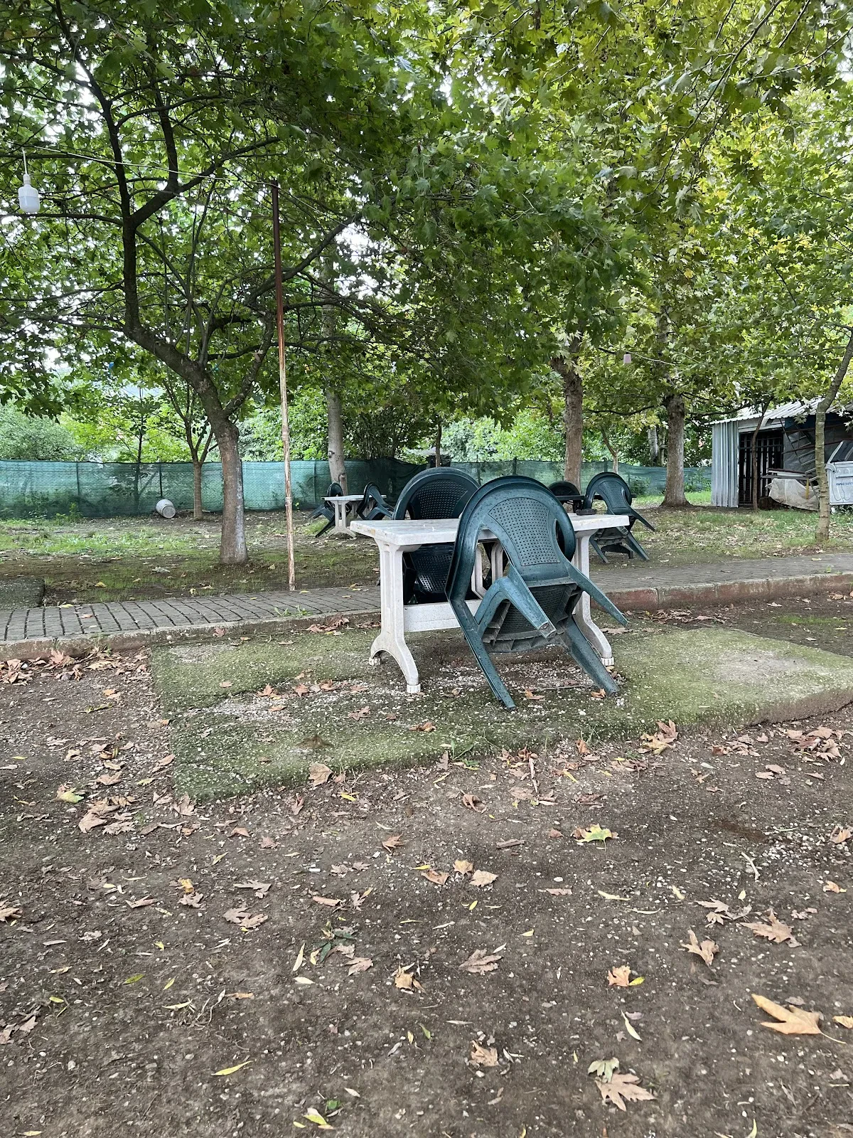 Doğa Aile Çay Bahçesi