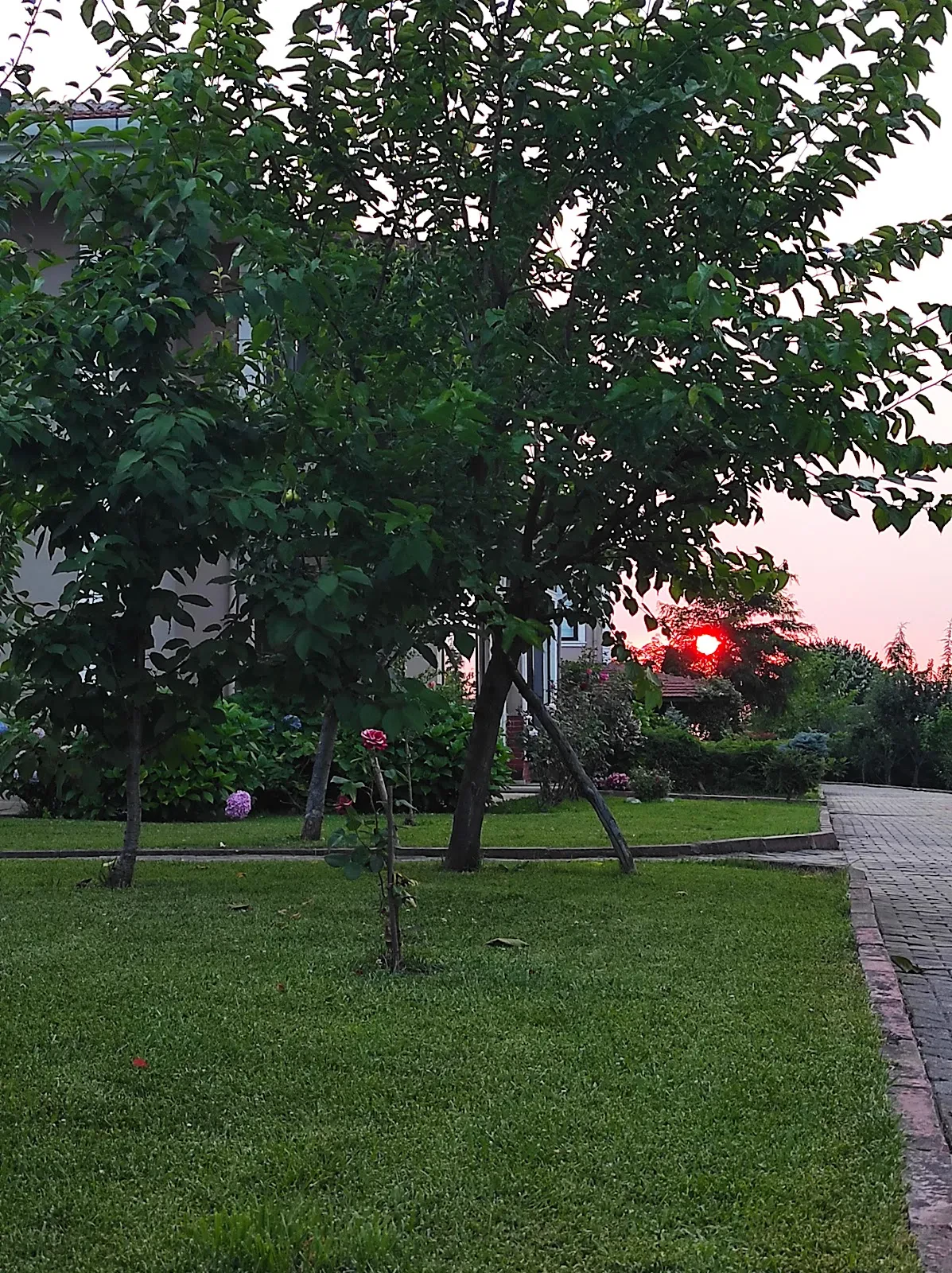 Kartepe Doruk Dağ Evleri fotoğraf 2