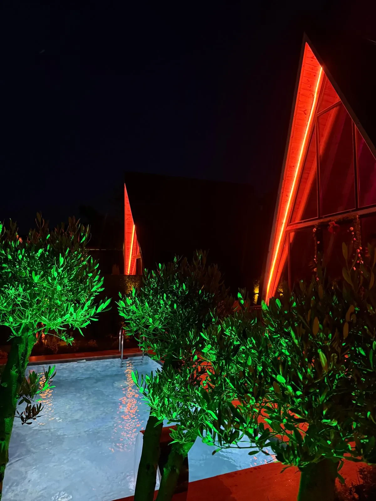 Âlâ Resort fotoğraf 4