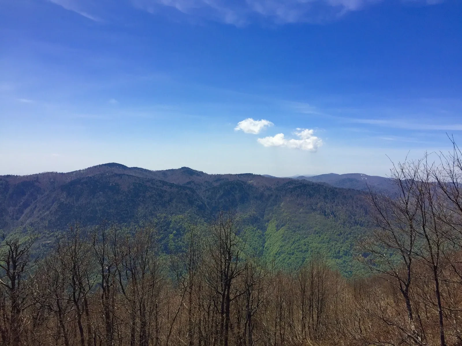 Kuzuyayla Nature Park fotoğraf 3