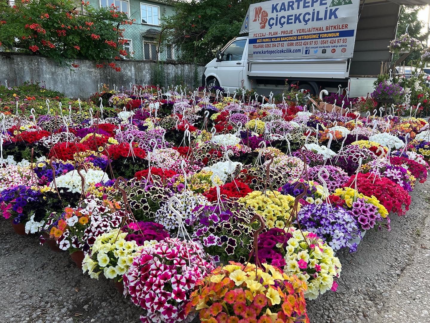 Kartepe Çiçekçilik fotoğraf 4