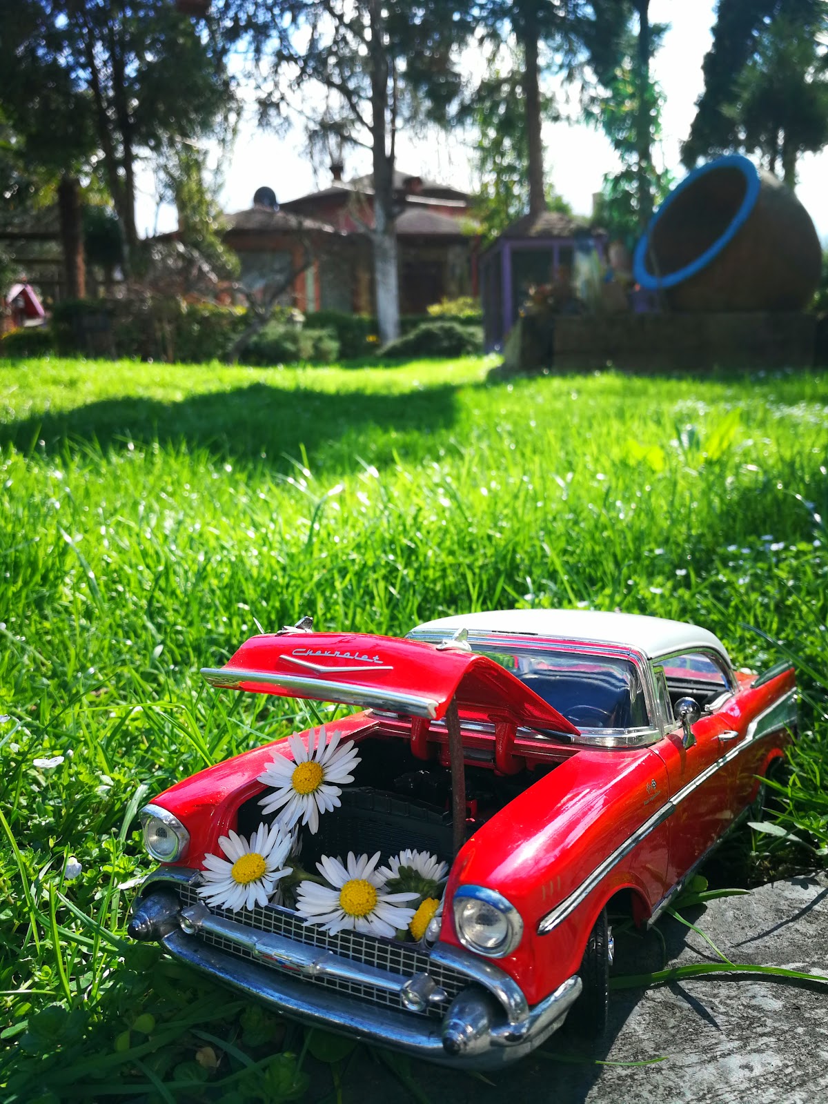 Yener Bungalov fotoğraf 5