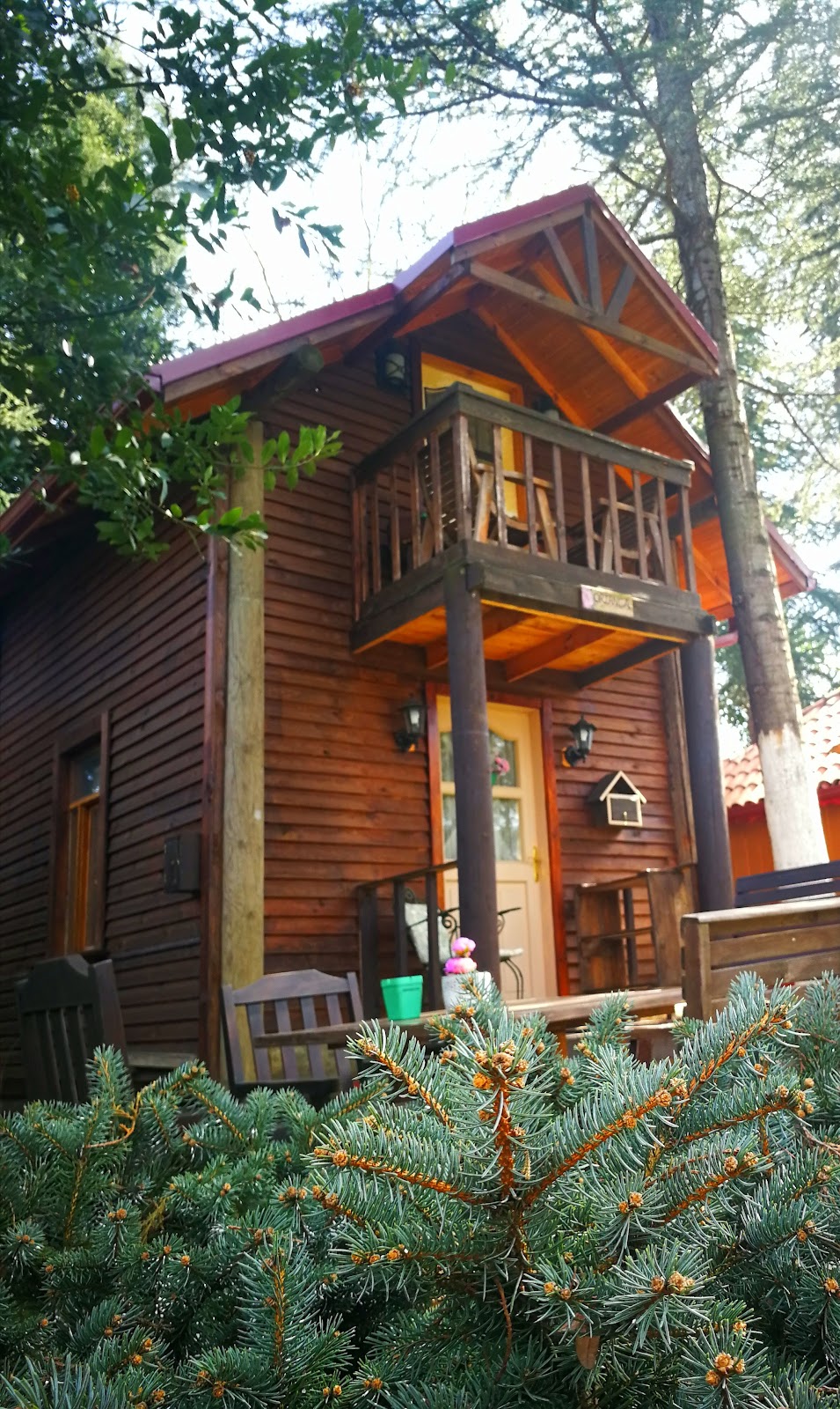 Yener Bungalov fotoğraf 2