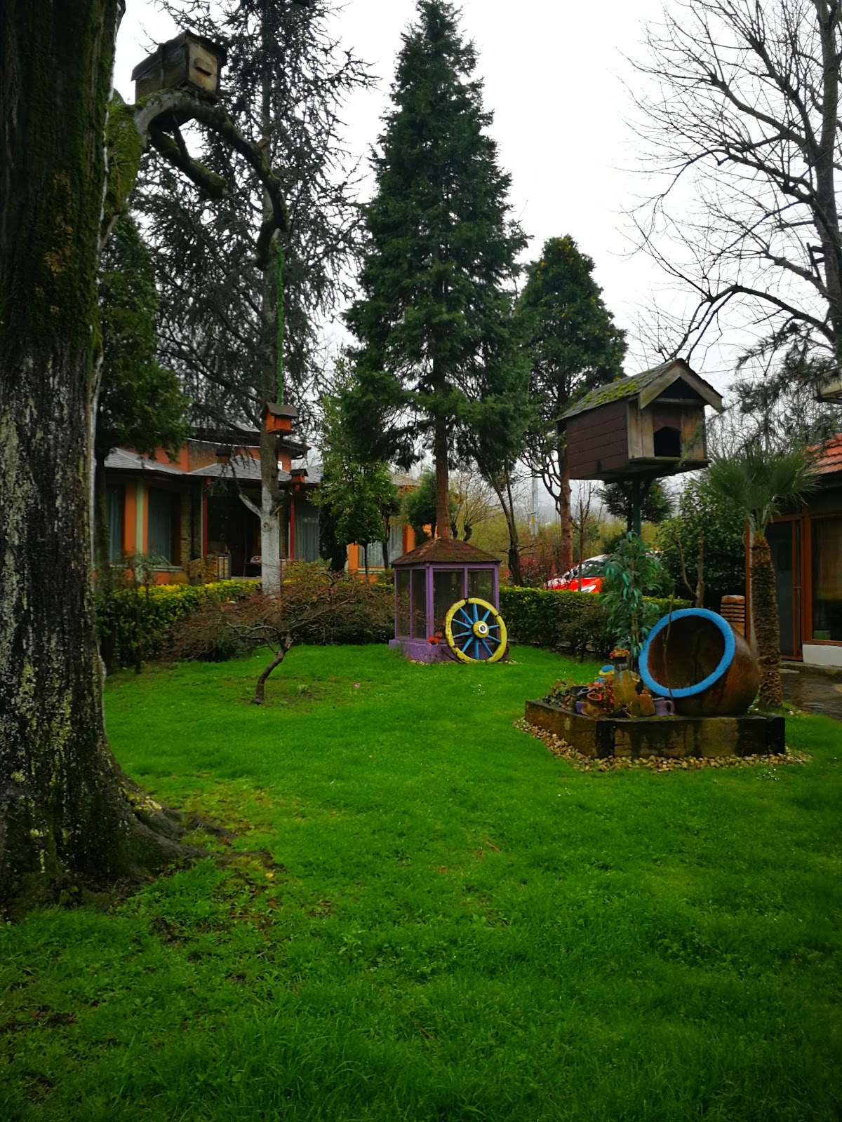 Yener Bungalov fotoğraf 3